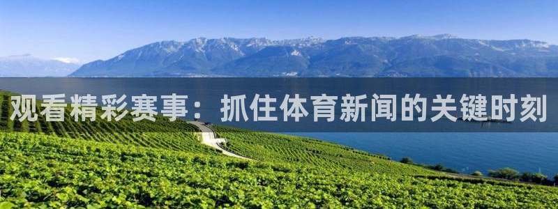 观看精彩赛事：抓住体育新闻的关键时刻