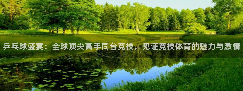 乒乓球盛宴：全球顶尖高手同台竞技，见证竞技体育的魅力与激情