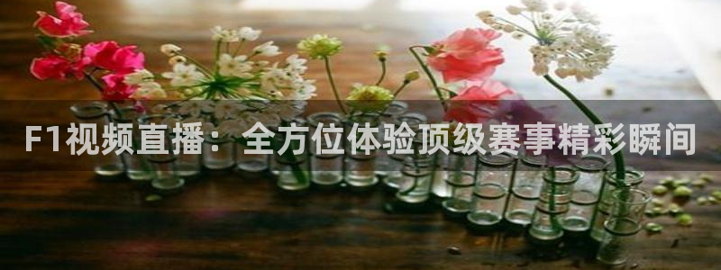 F1视频直播：全方位体验顶级赛事精彩瞬间