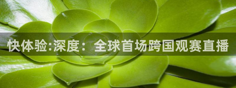 快体验:深度：全球首场跨国观赛直播