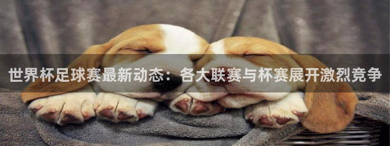 世界杯足球赛最新动态：各大联赛与杯赛展开激烈竞争