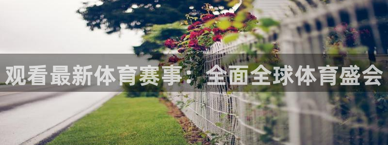 观看最新体育赛事：全面全球体育盛会